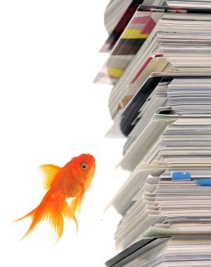 Goldfish Reading